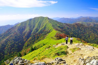 【四国の真ん中・スケール壮大な秘境の地】三好市の移住希望者向け支援（働く・住まい・子育て・教育） | 地域のトピックス