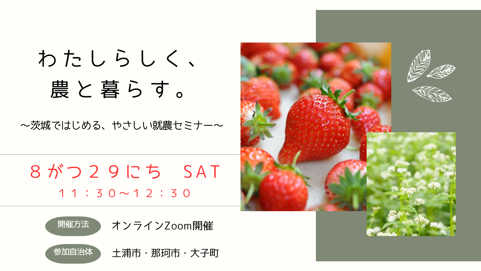 茨城県の3市町と学ぶ、やさしい就農セミナー＠オンライン | 移住関連イベント情報