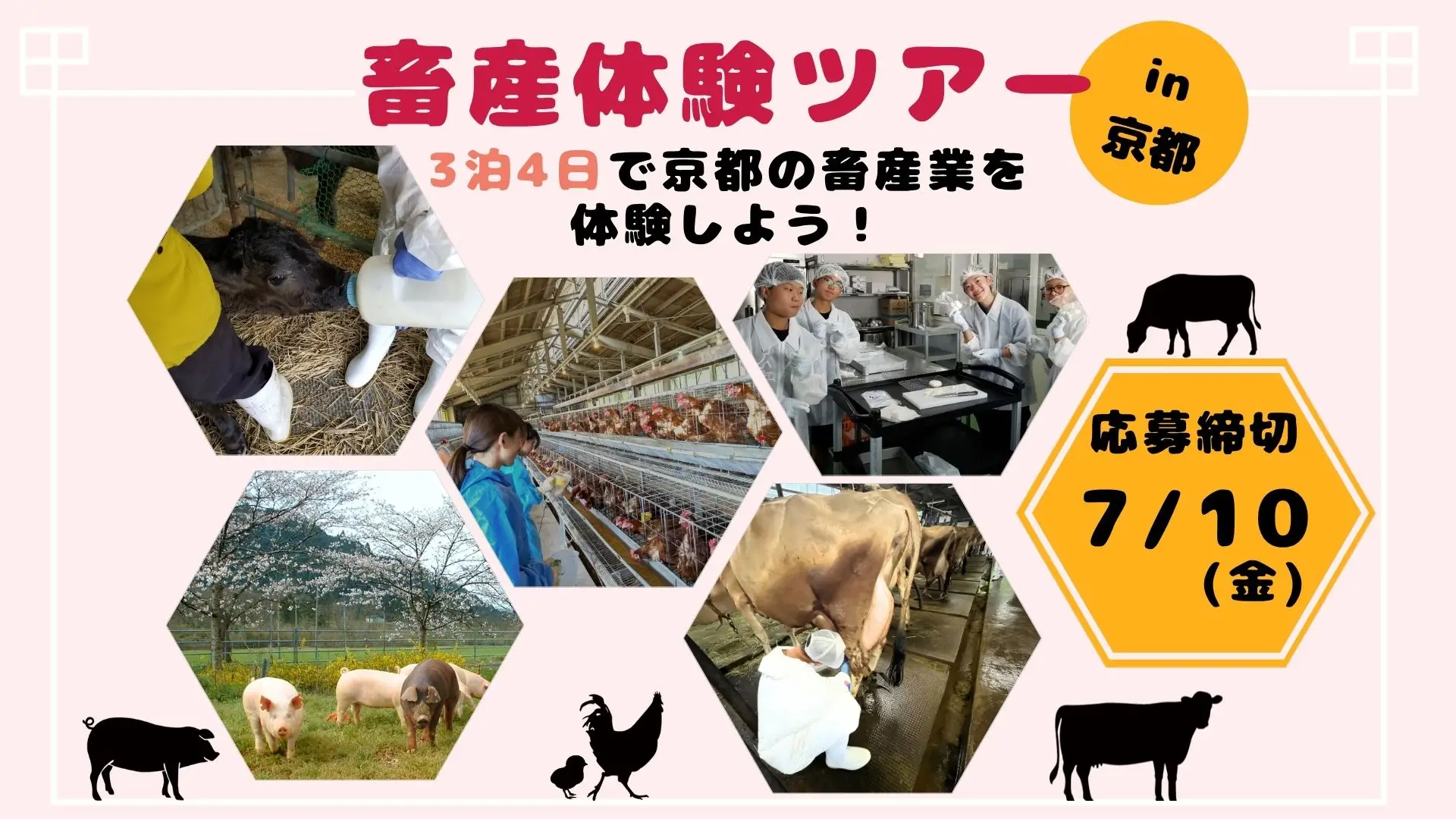 畜産体験ツアー① ～3泊4日で京都の畜産業を体験しよう！～ | 移住関連イベント情報
