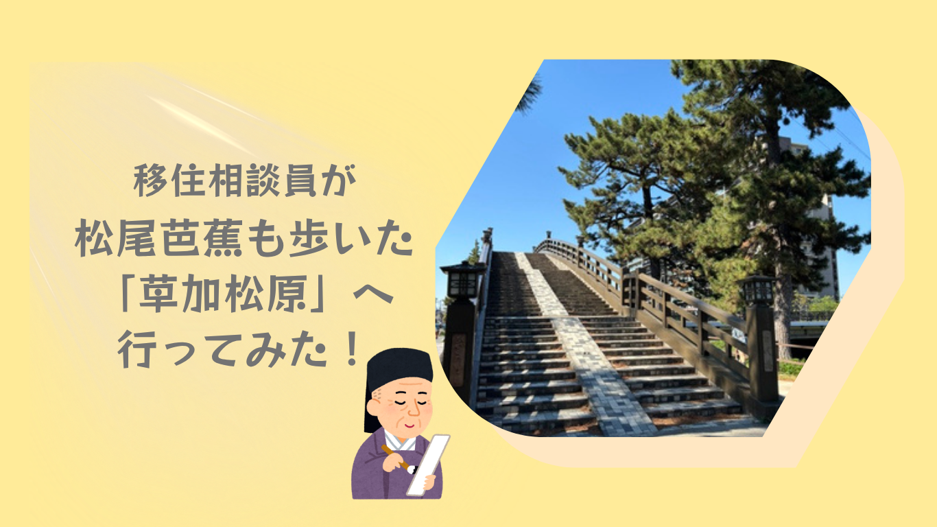 歴史と日常が溶け合う草加の景勝地、草加松原を歩いてみた！ | 地域のトピックス