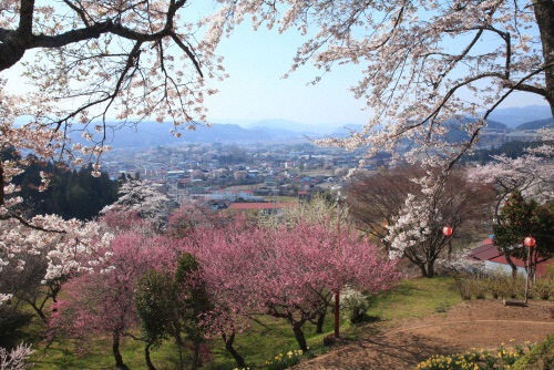 【棚倉町】スポーツによる町の活性化にあなたの力を貸してください！＜地域おこし協力隊募集＞ | 地域のトピックス