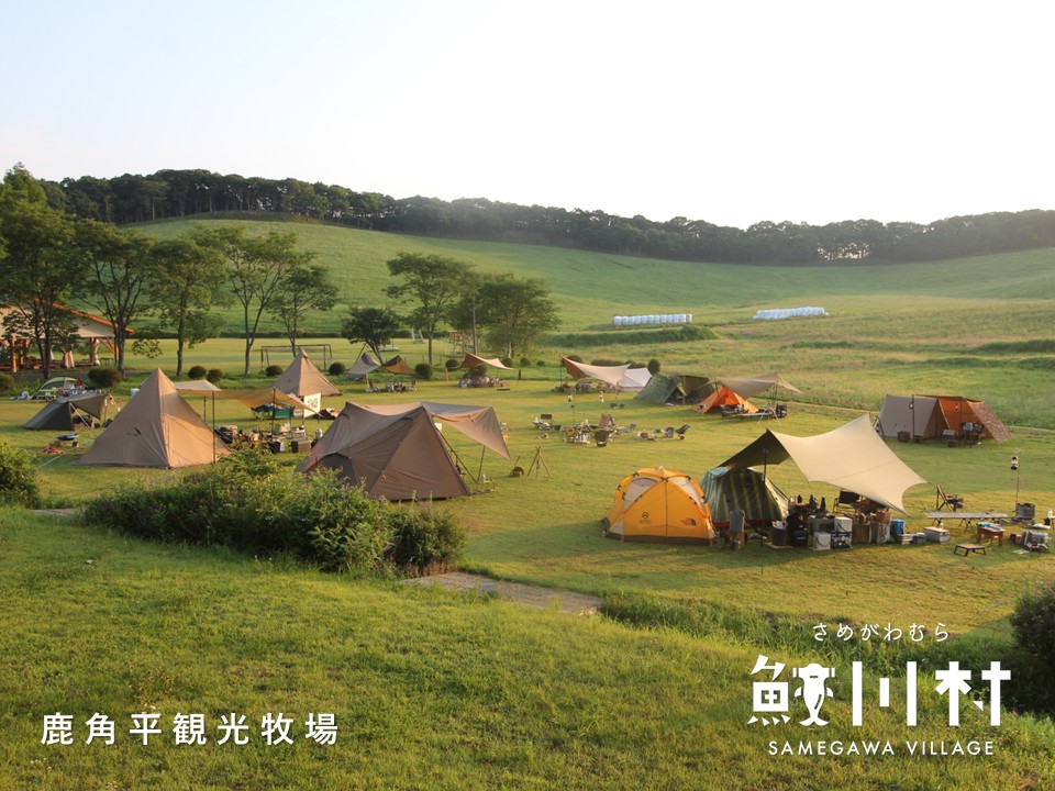 【鮫川村】地域おこし協力隊募集中！「観光牧場コーディネーター」「歴史民俗資料館の収蔵品整理」 | 地域のトピックス