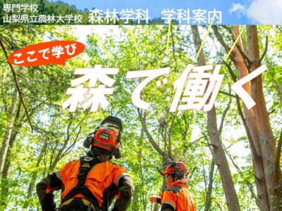 【森林学科】2027年度学生募集！山梨県の林業の専門学校 | 地域のトピックス