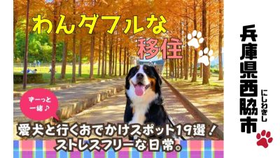 【西脇市】愛犬ともっと笑顔になれる、わんダフルな『ストレスフリーLIFE！』 | 地域のトピックス