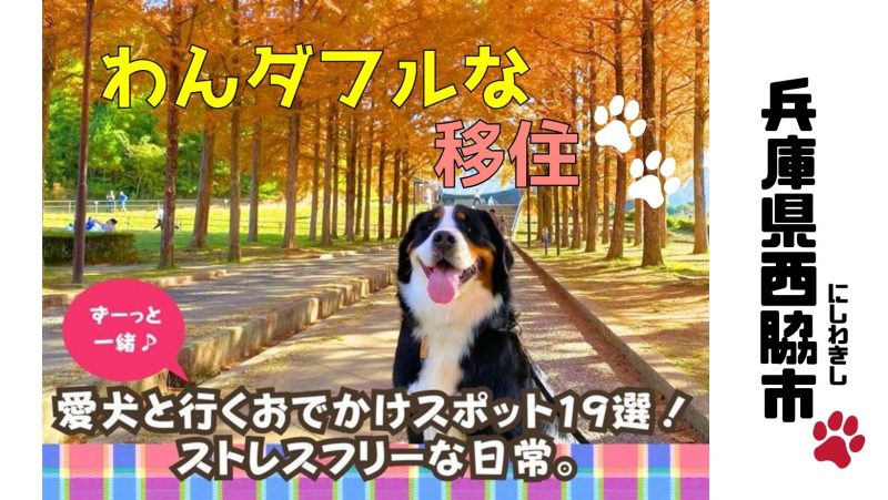 【西脇市】愛犬ともっと笑顔になれる、わんダフルな『ストレスフリーLIFE！』 | 地域のトピックス
