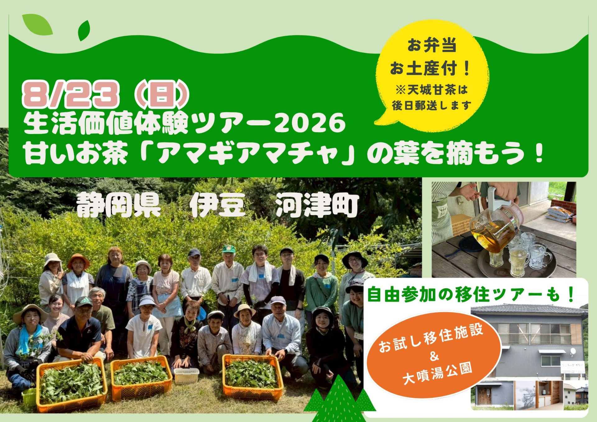 【伊豆・河津町】アマギアマチャ収穫体験ツアー | 移住関連イベント情報