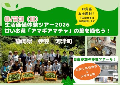 【伊豆・河津町】アマギアマチャ収穫体験ツアー | 移住関連イベント情報