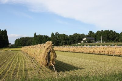 子どもたちの割合が高い小さな村。データから見える中島村の子育て環境と暮らし | 地域のトピックス