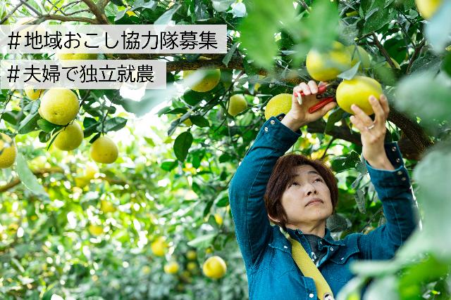 【夫婦(パートナー)でかんきつ農家を目指す】いちき串木野市シトラススクールで未経験者から3年後の独立就農まで伴走支援します！ | 地域のトピックス