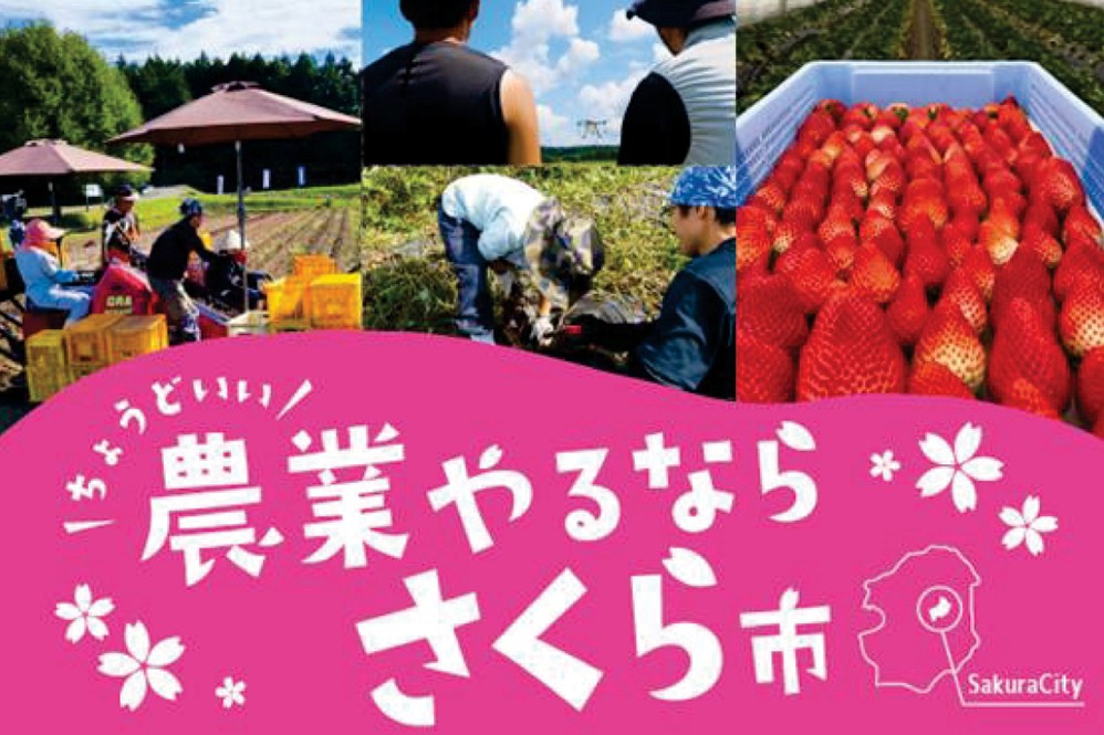 【8/30(日)】さくら市　地域おこし協力隊＆移住相談会 | 移住関連イベント情報