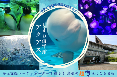 移住支援コーディネーターと巡る！島根の超気になる名所『ゆかいな海の仲間に会える！しまね海洋館アクアス』 | 地域のトピックス