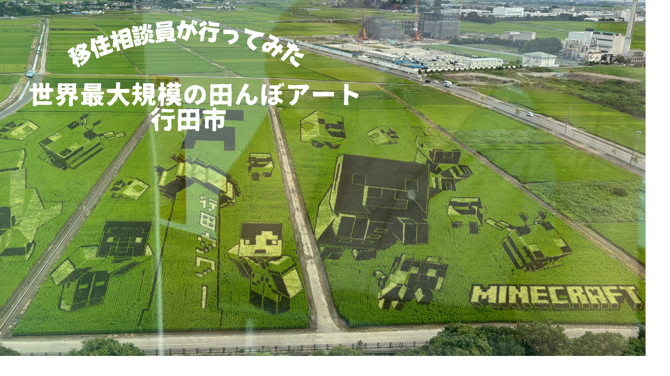 行田でタワーから田んぼアートを眺め、歴史・文化に触れてみた！ | 地域のトピックス