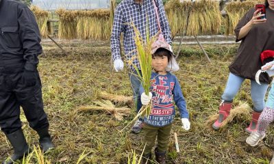＼飯能市╱キッズガイドがご案内！田んぼの風に吹かれて～稲刈り＆マコモダケ狩り～ | 地域のトピックス
