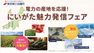 「電力の産地を応援！にいがた魅力発信フェア」において、新潟の魅力を東京でＰＲします | 地域のトピックス