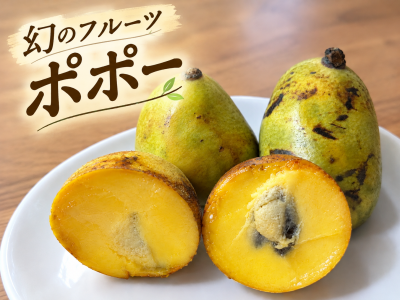 【幻のフルーツ「ポポー」を食べてみた！】 | 地域のトピックス