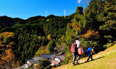 【飯能市】秋のお散歩マーケット | 地域のトピックス