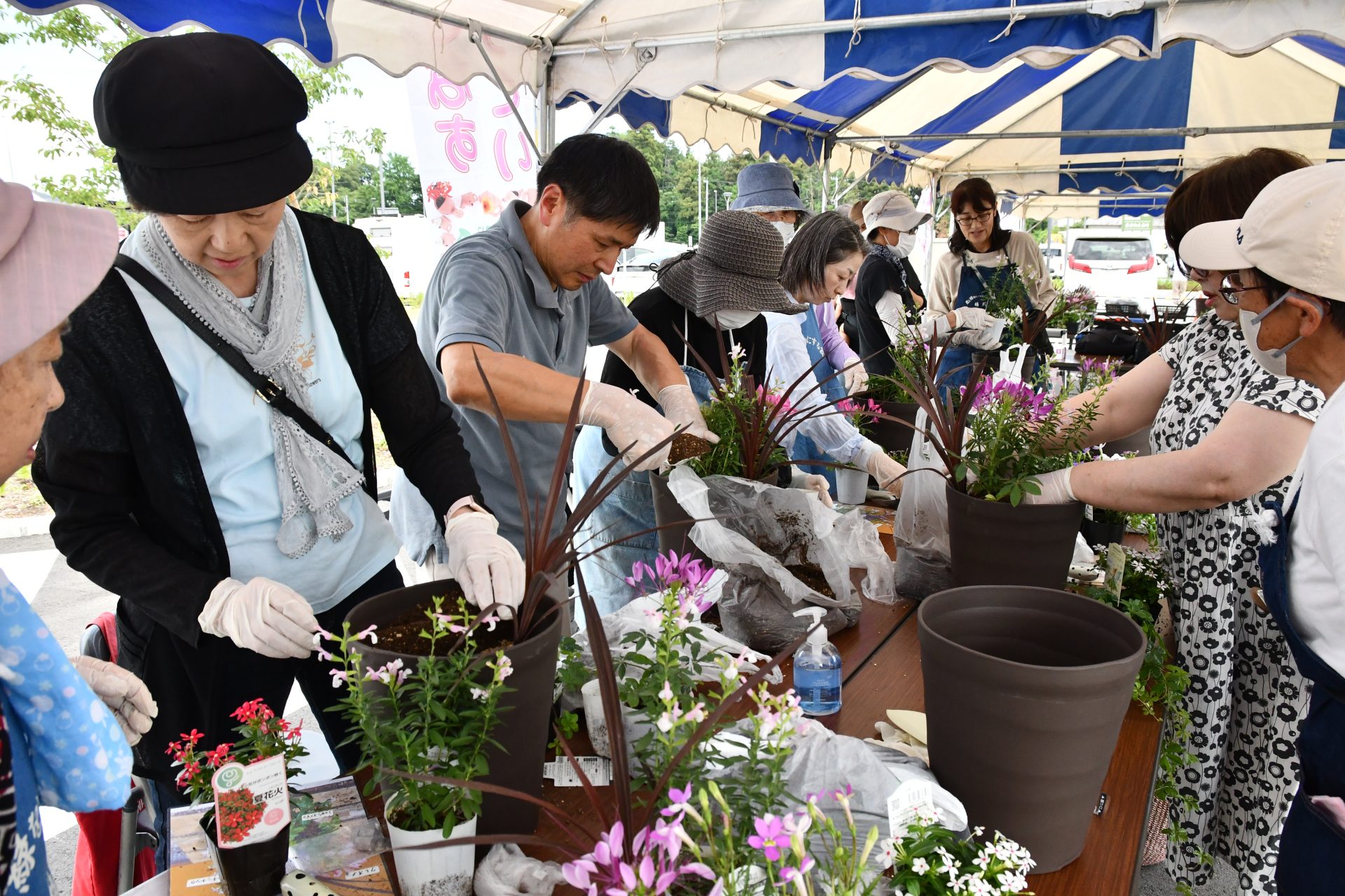ガーデニング教室みんなで楽しく寄せ植えをしてみませんか？ | 地域のトピックス